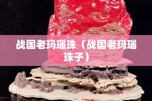 战国老玛瑙珠（战国老玛瑙珠子）