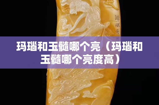 玛瑙和玉髓哪个亮（玛瑙和玉髓哪个亮度高）