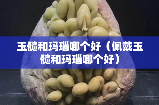 玉髓和玛瑙哪个好（佩戴玉髓和玛瑙哪个好）