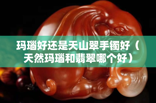 玛瑙好还是天山翠手镯好（天然玛瑙和翡翠哪个好）