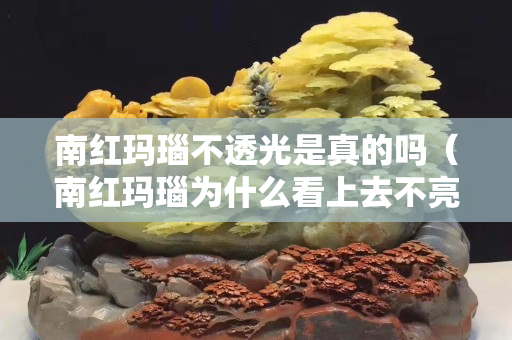 南红玛瑙不透光是真的吗（南红玛瑙为什么看上去不亮）