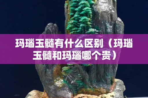 玛瑙玉髓有什么区别（玛瑙玉髓和玛瑙哪个贵）