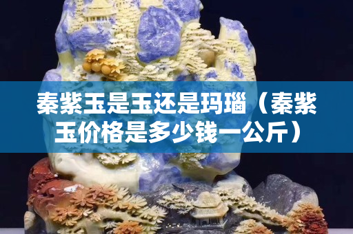秦紫玉是玉还是玛瑙（秦紫玉价格是多少钱一公斤）