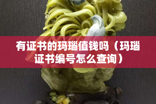 有证书的玛瑙值钱吗（玛瑙证书编号怎么查询）