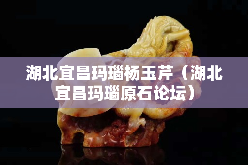 湖北宜昌玛瑙杨玉芹（湖北宜昌玛瑙原石论坛）