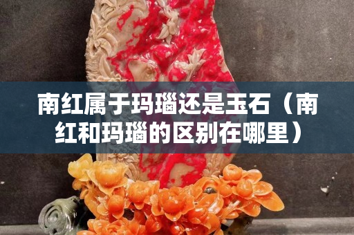 南红属于玛瑙还是玉石（南红和玛瑙的区别在哪里）