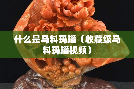 什么是马料玛瑙（收藏级马料玛瑙视频）