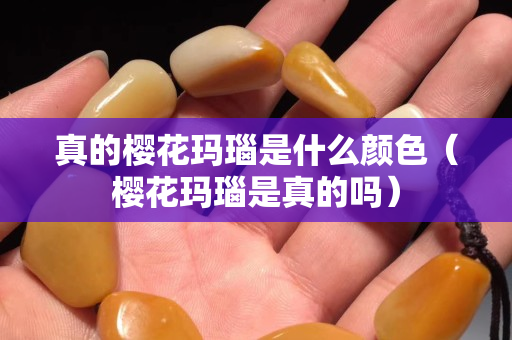 真的樱花玛瑙是什么颜色（樱花玛瑙是真的吗）