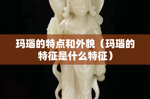 玛瑙的特点和外貌（玛瑙的特征是什么特征）