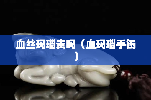 血丝玛瑙贵吗（血玛瑙手镯）