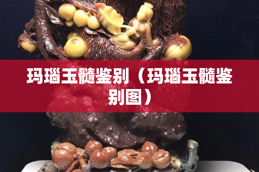 玛瑙玉髓鉴别（玛瑙玉髓鉴别图）