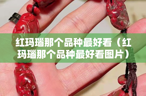 红玛瑙那个品种最好看（红玛瑙那个品种最好看图片）