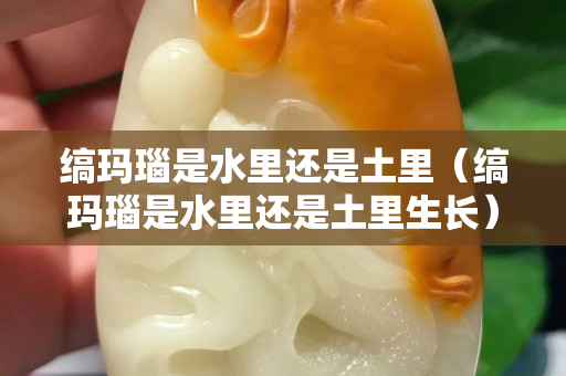 缟玛瑙是水里还是土里（缟玛瑙是水里还是土里生长）