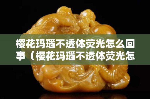 樱花玛瑙不透体荧光怎么回事（樱花玛瑙不透体荧光怎么回事儿）