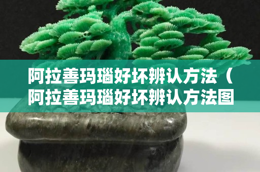 阿拉善玛瑙好坏辨认方法（阿拉善玛瑙好坏辨认方法图片）