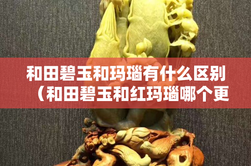 和田碧玉和玛瑙有什么区别（和田碧玉和红玛瑙哪个更好）