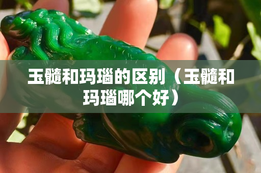 玉髓和玛瑙的区别（玉髓和玛瑙哪个好）