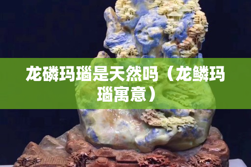 龙磷玛瑙是天然吗（龙鳞玛瑙寓意）