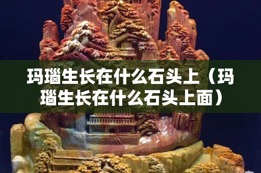 玛瑙生长在什么石头上（玛瑙生长在什么石头上面）