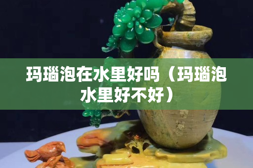 玛瑙泡在水里好吗（玛瑙泡水里好不好）