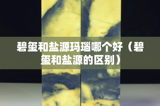 碧玺和盐源玛瑙哪个好（碧玺和盐源的区别）