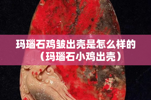 玛瑙石鸡皱出壳是怎么样的（玛瑙石小鸡出壳）