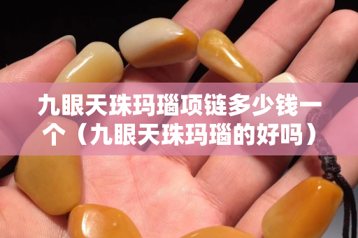 九眼天珠玛瑙项链多少钱一个（九眼天珠玛瑙的好吗）