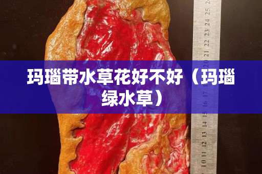 玛瑙带水草花好不好（玛瑙绿水草）