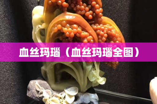 血丝玛瑙（血丝玛瑙全图）