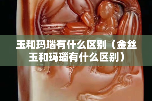玉和玛瑙有什么区别（金丝玉和玛瑙有什么区别）