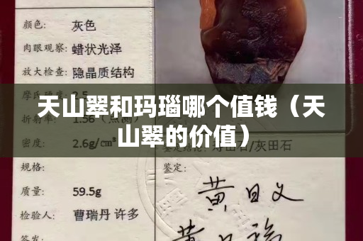 天山翠和玛瑙哪个值钱（天山翠的价值）