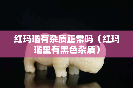 红玛瑙有杂质正常吗（红玛瑙里有黑色杂质）