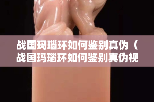 战国玛瑙环如何鉴别真伪（战国玛瑙环如何鉴别真伪视频）