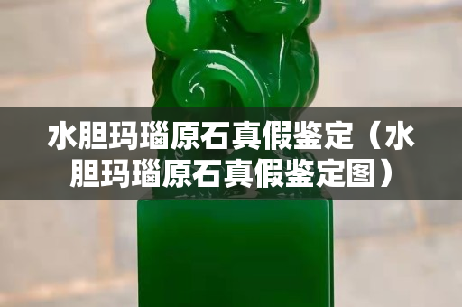 水胆玛瑙原石真假鉴定（水胆玛瑙原石真假鉴定图）