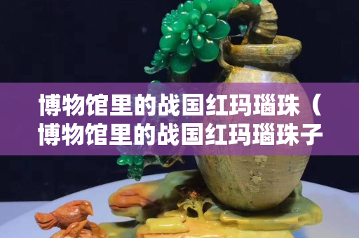 博物馆里的战国红玛瑙珠（博物馆里的战国红玛瑙珠子值钱吗）