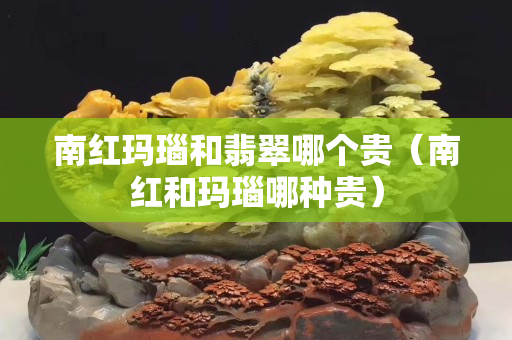 南红玛瑙和翡翠哪个贵（南红和玛瑙哪种贵）