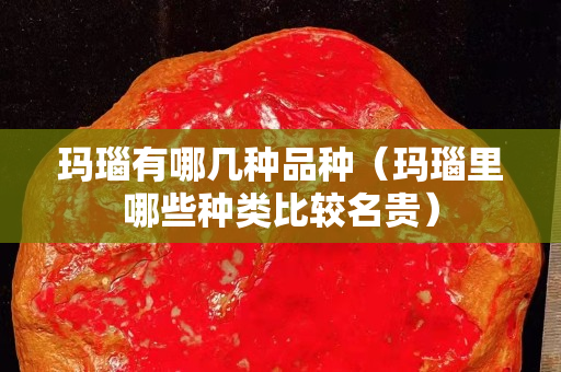 玛瑙有哪几种品种（玛瑙里哪些种类比较名贵）