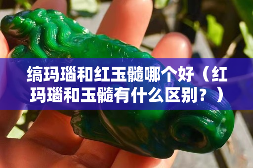 缟玛瑙和红玉髓哪个好（红玛瑙和玉髓有什么区别？）