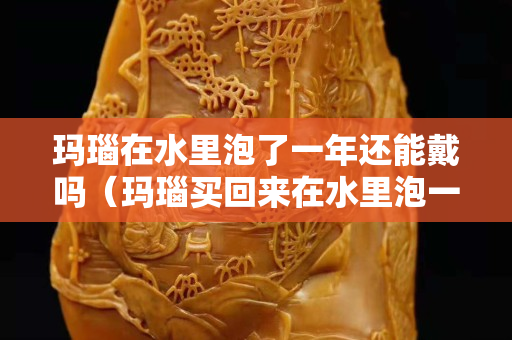 玛瑙在水里泡了一年还能戴吗（玛瑙买回来在水里泡一夜好吗）
