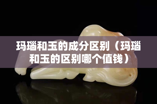 玛瑙和玉的成分区别（玛瑙和玉的区别哪个值钱）