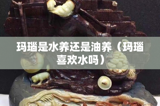 玛瑙是水养还是油养（玛瑙喜欢水吗）