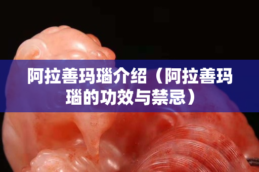阿拉善玛瑙介绍（阿拉善玛瑙的功效与禁忌）