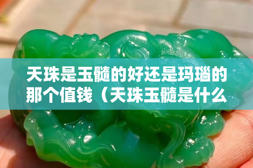 天珠是玉髓的好还是玛瑙的那个值钱（天珠玉髓是什么材质）