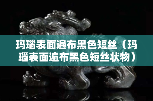 玛瑙表面遍布黑色短丝（玛瑙表面遍布黑色短丝状物）