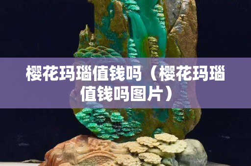 樱花玛瑙值钱吗（樱花玛瑙值钱吗图片）