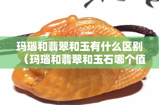 玛瑙和翡翠和玉有什么区别（玛瑙和翡翠和玉石哪个值钱）