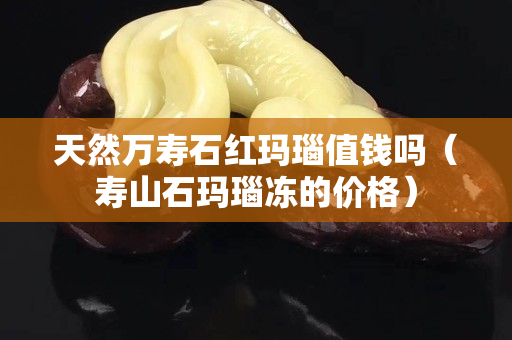 天然万寿石红玛瑙值钱吗（寿山石玛瑙冻的价格）