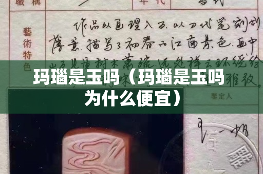玛瑙是玉吗（玛瑙是玉吗 为什么便宜）