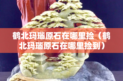 鹤北玛瑙原石在哪里捡（鹤北玛瑙原石在哪里捡到）