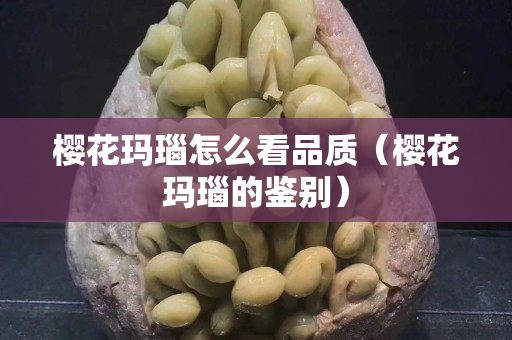 樱花玛瑙怎么看品质（樱花玛瑙的鉴别）